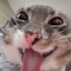 sadcoco102
