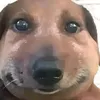 ko.ko.koro