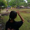 ste_fanieee05