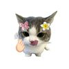 alicha_nafeeza