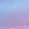 f951799