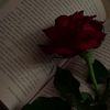 hani_hasby