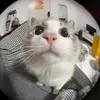 ktmrya