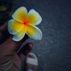 henna_by_nauz