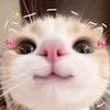 chuchuxxxx_