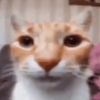 dksxz2