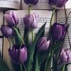 sadia457