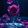 aung.zaw..win