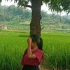 gogreen_102127