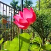 thithuytran92_qn