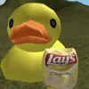 ducky.chip_03