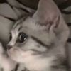 allison.tiffany81