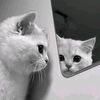 aufa.h2