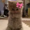 its_haliyaa3