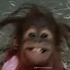 chiiuminhe13