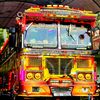 chamith.bus.love