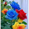 user41507166182575