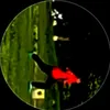 onur.aneliev