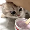 laluchu_kawaii