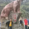 ngdng9413