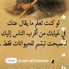user7328151412784