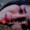 user9562559517186