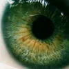 yarilo_12