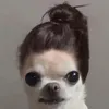 bananaciutee