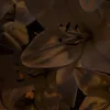hazeltoes