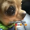 tu.comadre83