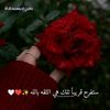 user811354508536