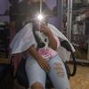 yeralditorrez0