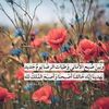abir.abir6541