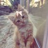 shahd.gaber21