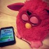 redfurby