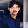syedtoqeerhussainshah
