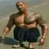 tlazin8