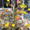 phong.thanh7839