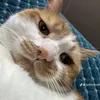 oicaidauoi0