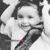 nicoll_sn
