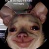 bopondaloose
