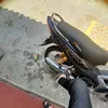 tanphat1.1