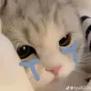 gu.yu210
