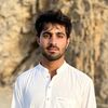 gulraiz.afghan