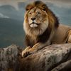 le.lionboy17
