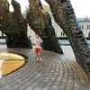 bajiccc24