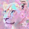 🐾💗LovelyLioness💗🐾