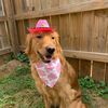 skyebrightbandanas