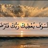 user753136347545