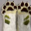 furry_happy0